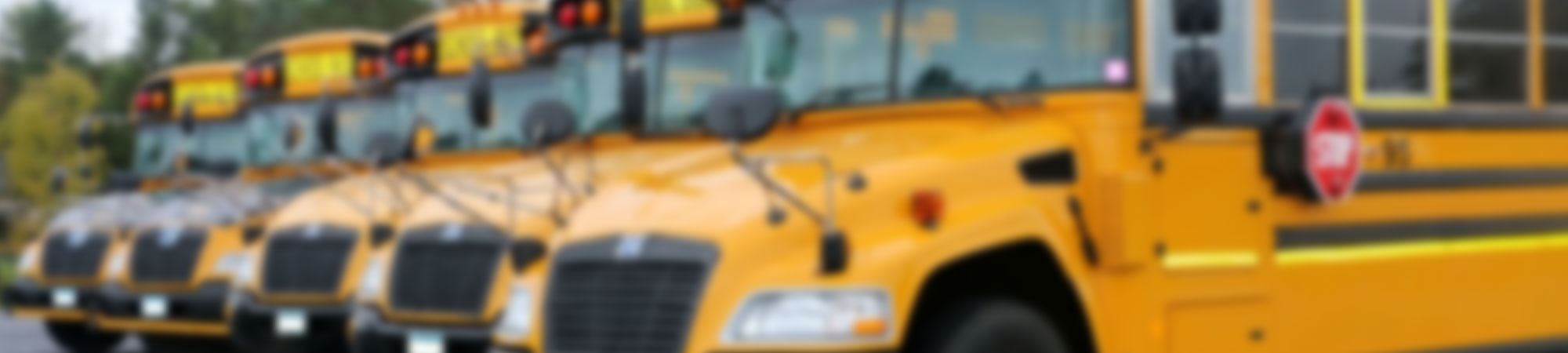 Blurred photo of yellow school buses lined up in rows